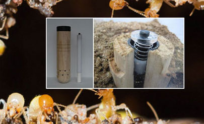 흰개미 군체 제거제 HGM 제품 사진